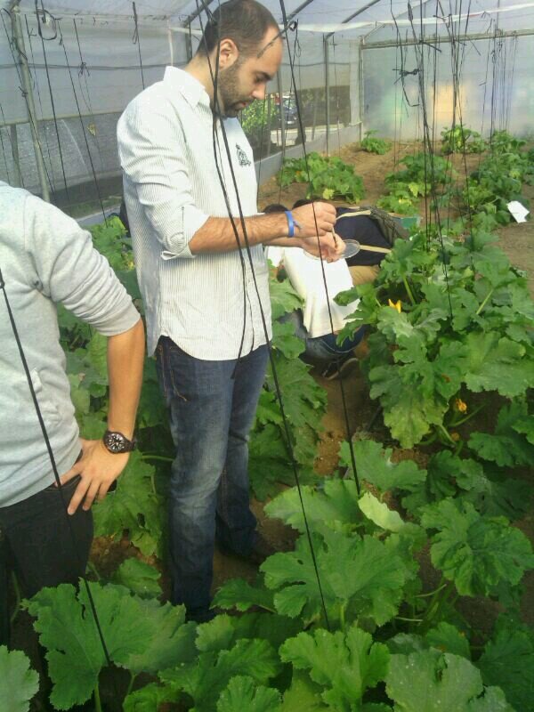 Estudiante de agronomía, DJ, cantante, compositor, actor, productor, empresario, broker, jugador de pádel, rugby, camarero, mecánico, peón, técnico jardinería..