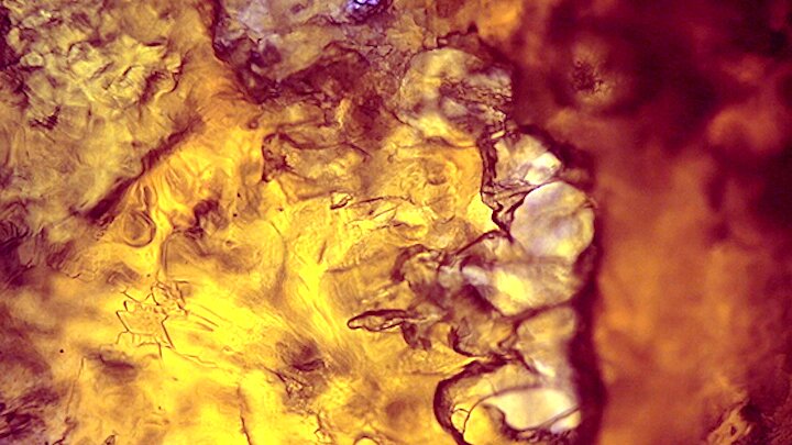 EMERGEATCFF's profile picture. FILM AND TECHNOLOGY CONFERENCE AT CORK FILM FESTIVAL 2013