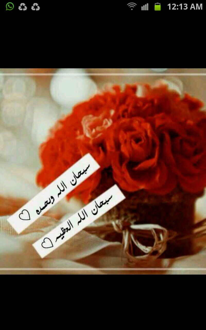 يارب وإن نامت اجزائي بين التراب وكنت ناسيا منسيآ وان كان في الماضي ذنوب لم تطهرني منها ف بللني بماء عفوك وغفرانك وهب لي دعوات لا تنطفئ.!!