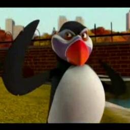 Hans The Puffinさんのプロフィール画像