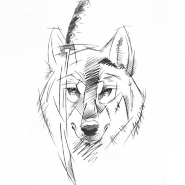 Luissfrl's profile picture. Always be the black sheep.