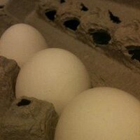 jim thorson (@thorson_esq) 's Twitter Profile