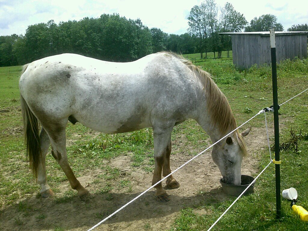 OledaHirsch's profile picture. married over 30 yrs. member of Ohio Horseman's Council and Knox County Horse Park, Christian