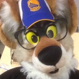 Furry sports analyst, writer, reporter and podcaster! The original Coyote on the Court!
