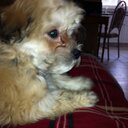 Colette McMahon - @colmcm1965 - Twitter