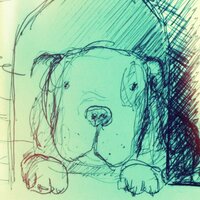 Ben welsh (@fbwelsh) 's Twitter Profile