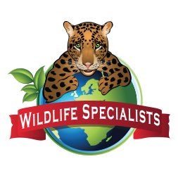 Wildlife experts leading safaris and eco-tours to the world's greatest wildlife destinations. Itineraries designed especially for wildlife lovers!