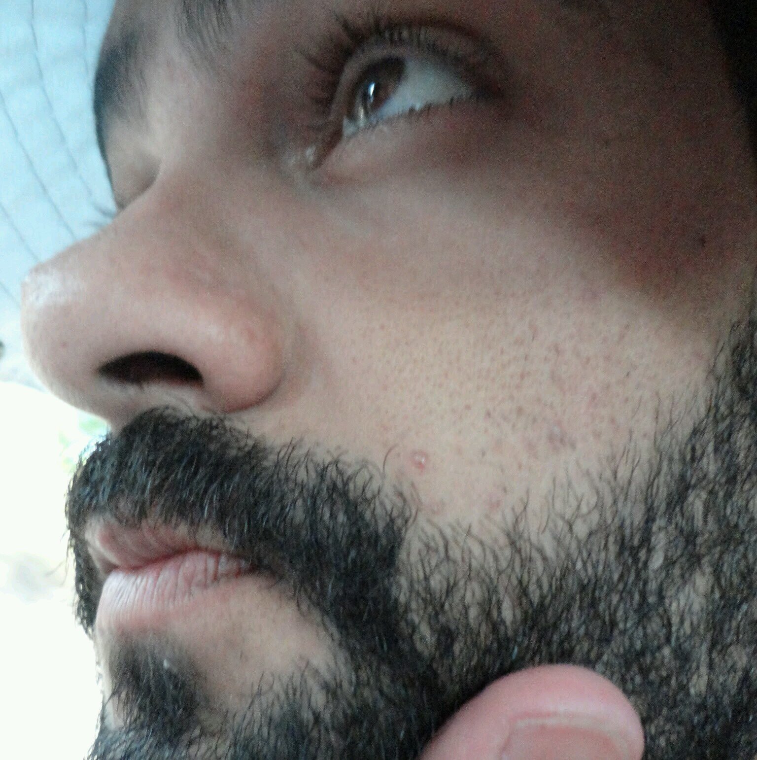 sfcardoso1's profile picture. I don't have a blue check