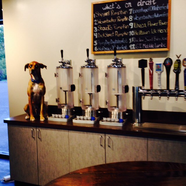 CJsDoghouse1555's profile picture. Feel free to check out our blog! 
http://t.co/W7ZI4gUZC6