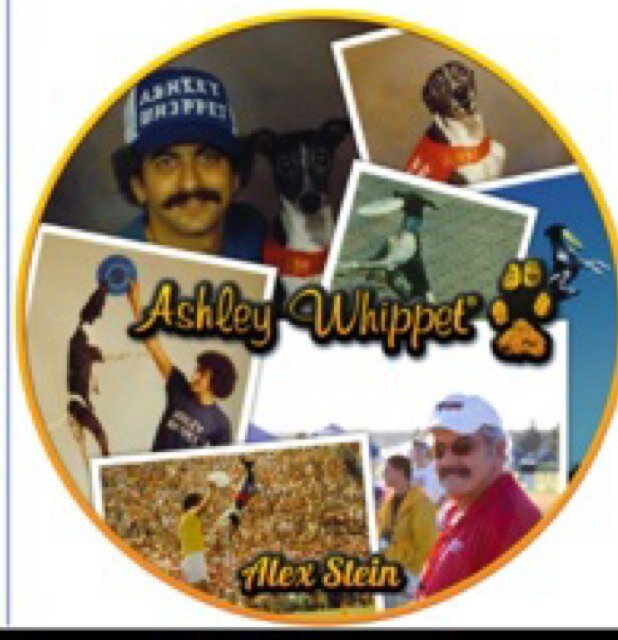 ashleywhippet's profile picture. 