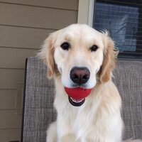 Mike (@mikedavidmac) 's Twitter Profile