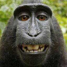 RayChang12's profile picture.