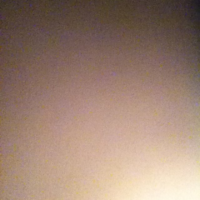 cummincountry1's profile picture. Country girl i have 4amazing horses and 20 head of cattle . #teammossyoak #teamcountry #horselover #dirtroadrebel ❤ From good ol kentucky !