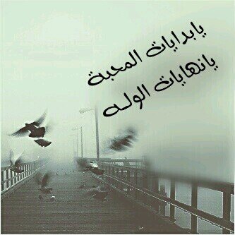 ‏‏‏فكرك يريك من انت