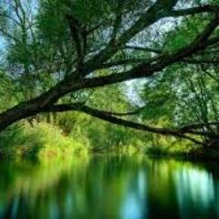 I'm from delhi, And i am a student, Pursuing http://t.co/jBKtxjHrSE from Delhi University.