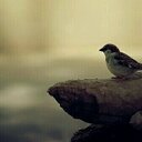 خالد (@5907Kalad) Twitter