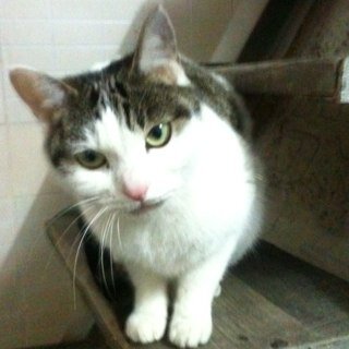 Hiatusさんのプロフィール画像