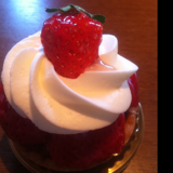 藻岩高校☆*:.。.小樽商科大学☆*:.。.Perfume☆*:.。.ピアノ☆*:.。.カメラ☆*:.。.ダックスフンド☆*:.。.回転寿司
