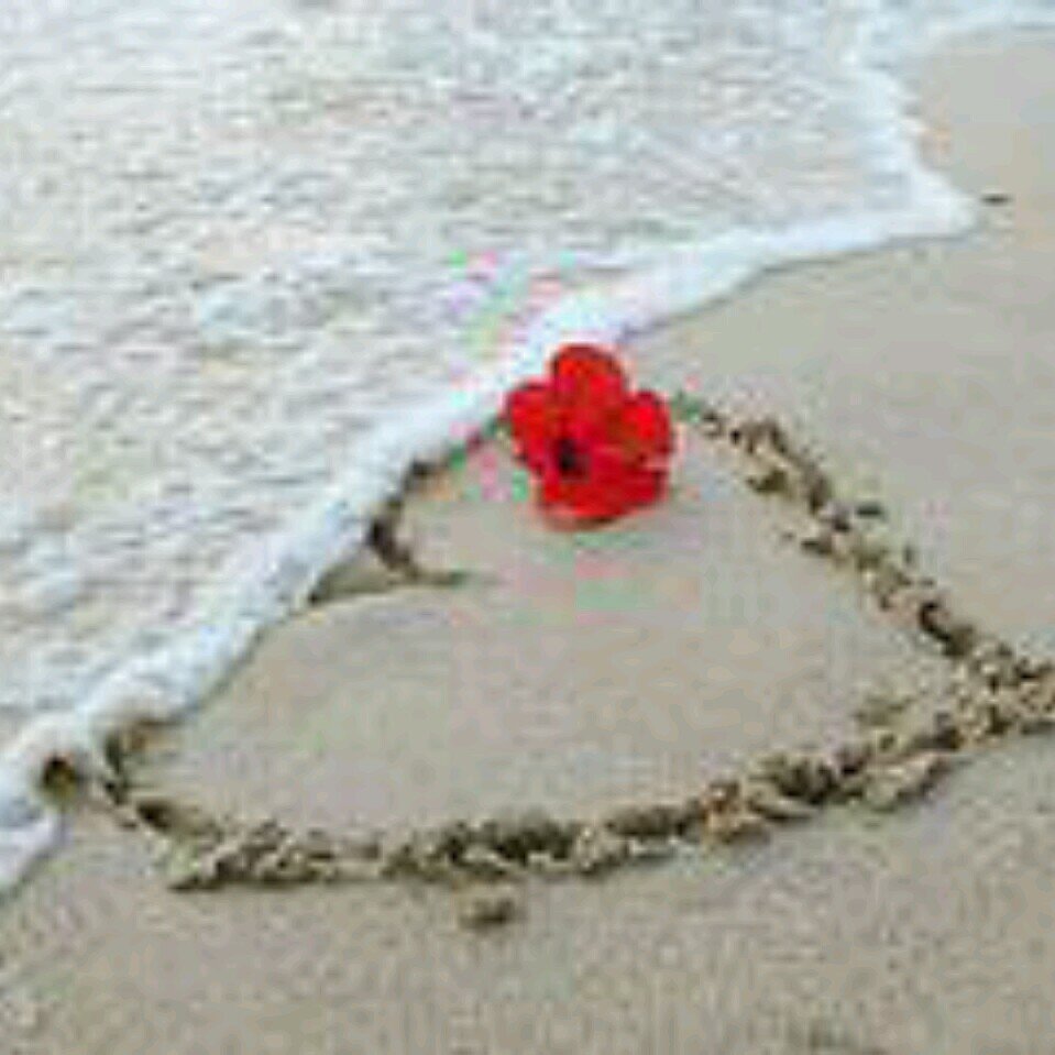 nbnbm765's profile picture. ‏ناشط سياسي ناصري الفكرى والهوى اعشق دينى واؤمن بعقيدتي