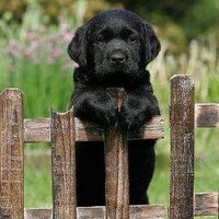 Pavithra Pathmanthan (@pavi_30) Twitter profile photo