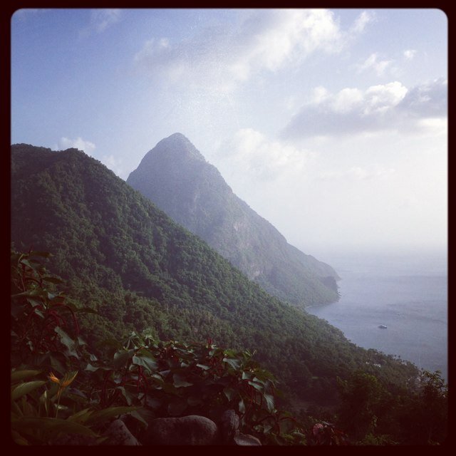 amandalshaw's profile picture. 