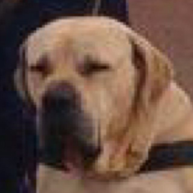 Unhappy because I'm being shafted by not one but two unreliable and overpriced companies, Network Rail & Great Western Railway. Someone sort this out!!