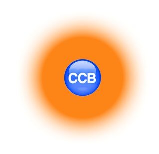 Chief Executive, CCB