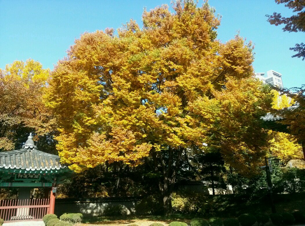 plusgl's profile picture. Real estate finance & investments, Tennis, Violin, Economy, Law, Black music