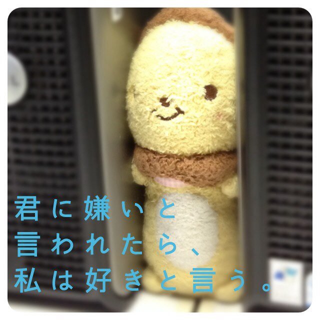 めたふさんのプロフィール画像