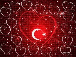 S.M.Mali Müşavir & Ekonomist 
( seven kalbe, düşünen beyne sahip, küçük şeylerle mutlu olabilen, kalabalıklar içinde yalnız, fani dünyada garip bir yolcu !.. )