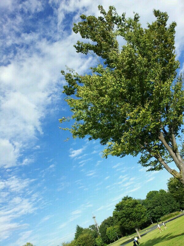 shellwork's profile picture. 