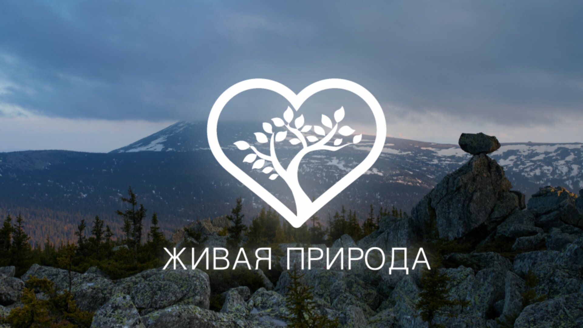 Живая природа - телеканал о природе России и мира.