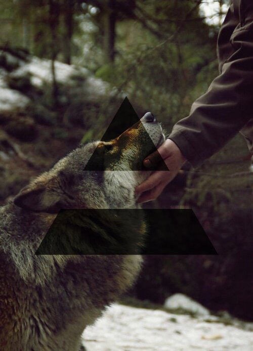 All we need is faith ₪ ø lll · o. #30STM #Echelon