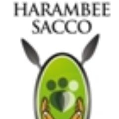 Harambee Sacco