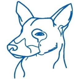 Beveiliging met honden in en om Boxmeer