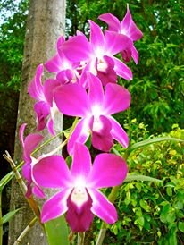 GemmalynAnza's profile picture. 