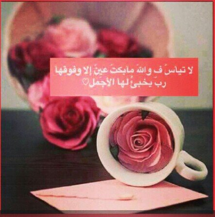 ‏‏‏‏‏‏♥استغفرالله العظييم وأتوب إليه♥