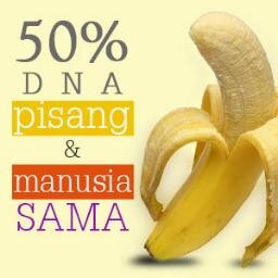 Fakta lucu dan unik cuma disini.