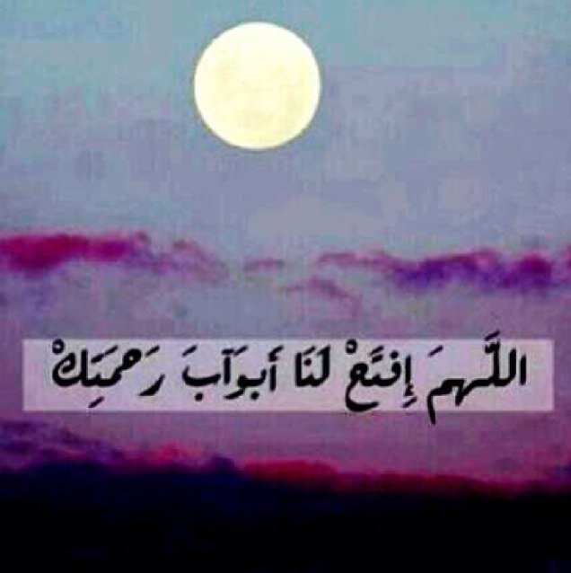 أَسْتَغـفِرُ اللّه الـذيْ لا إلـهَ إلّا هُـوَ الحـيُّ القيّـومْ وأَتُوب إليه