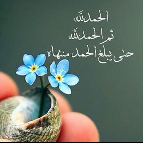 pydev1965's profile picture. طٱ​ﭑلبھہ جـﭑمعيہ ..ٱأغرد بمٱ يعجبنـے ۉمٱ يروق لے .. ‹☺›♪♡♡♡