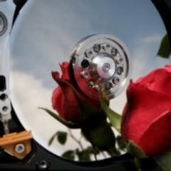 Ingeniero en Informática | Apasionado de la tecnología | Robótica Educativa | TICs