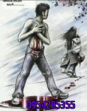 salehjanbolat's profile picture. 