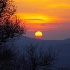 MBTooley's profile picture. Doing what I can to make Transylvania County a better place to live, play, and work.