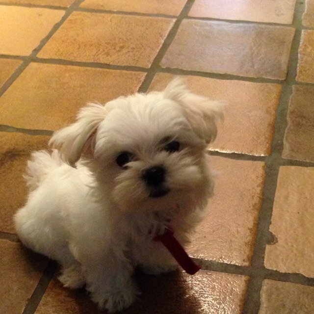 Kydhol's profile picture. 