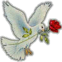 Abdullahi Idris (@08069117172abd) Twitter