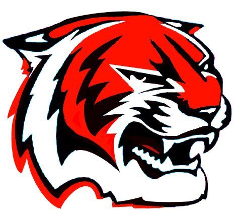 Formed in 1978, the Tigers have joined the Niagara Rugby Club and now operate as the Sr Men's 3rd side, and the Sr women's 2nd side.