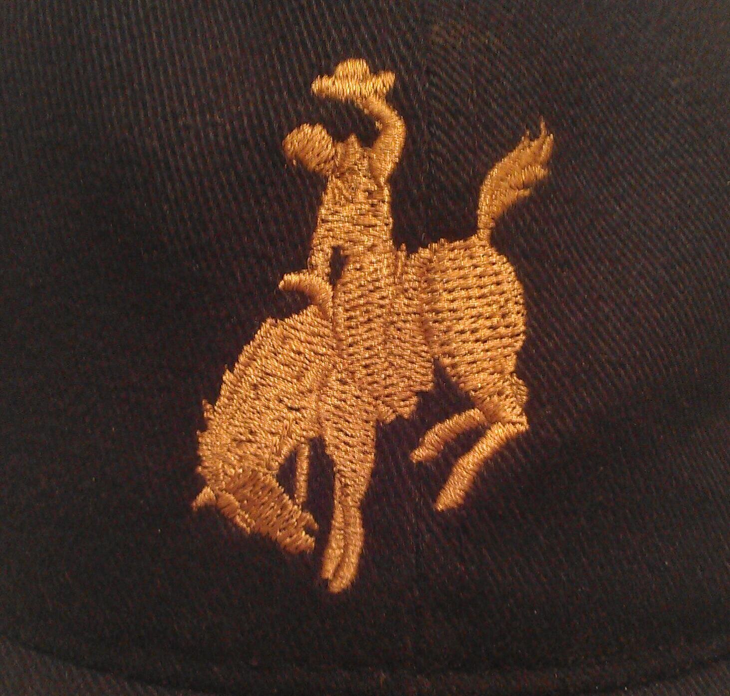 109th Annual Bruce Stampede July 31, 2022. We are Canadas oldest 1 day pro rodeo.