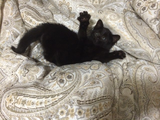 VyacheslavDanov's profile picture. 