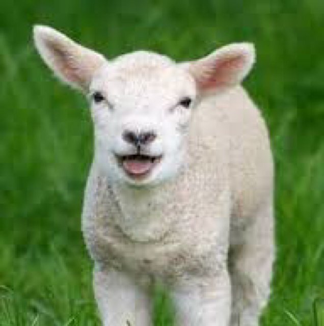 pad0571's profile picture. 