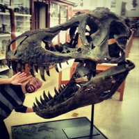 Rob Theodore (@robtheodore) 's Twitter Profile